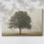 Toile tendue I-Gallery « Arbres dans la brume »-1244557128