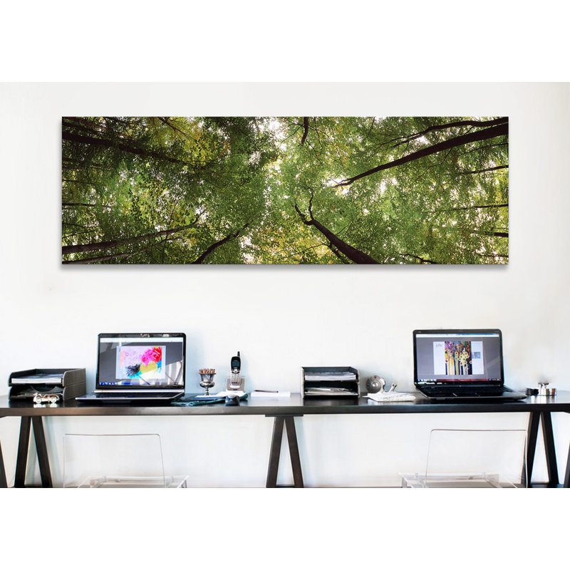 Vue basse d’un arbre, bavière, allemagne #2 par panoramic images-reproduction sur toile tendue, H 12 po x l 36 po x P 1,5 po