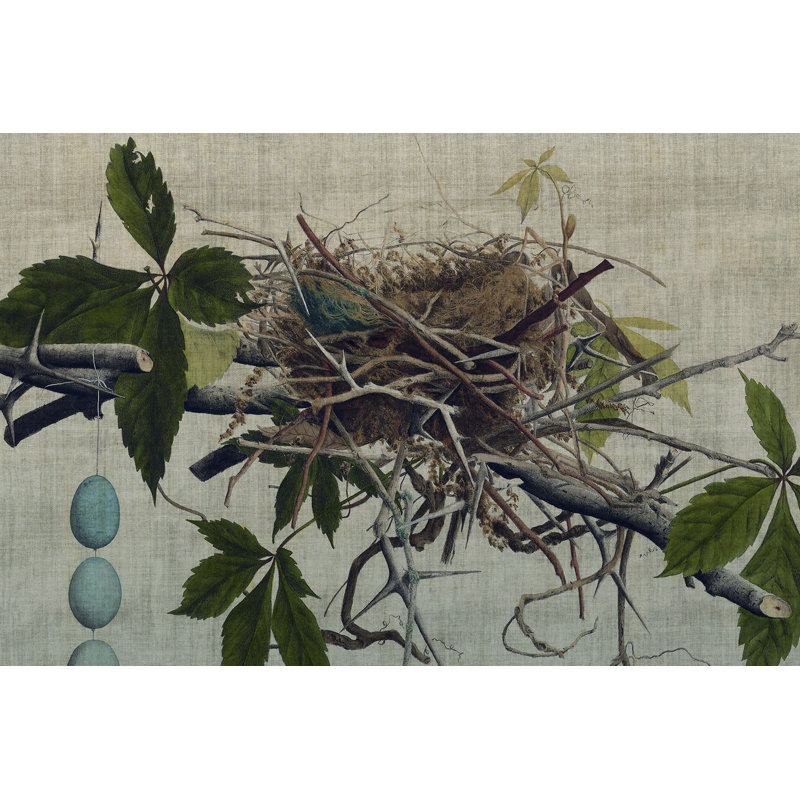Nesting I by John Butler - Painting, 61 cm H x 91 cm W, Wrapped Canvas