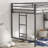 Twin Loft Bunk Bed