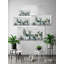 Refreshing Green Succulents by Parvez Taj - 1 Piece Wrapped Canvas Painting-872831106