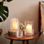 Echo Lake Tealight