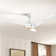 Cairo 52'' Ceiling Fan with LED Lights