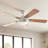 60'' Ceiling Fan with LED Lights-361292353