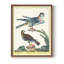 «Pastel Birds III», reproduction encadrée - bois massif-1390408911-1390408883