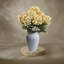Hortensia-495532167