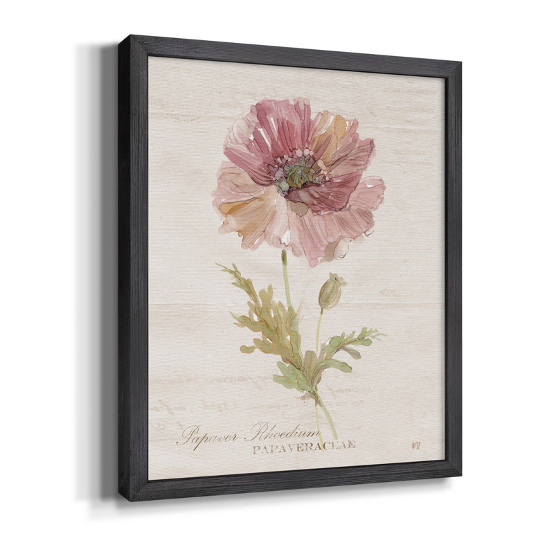 Coquelicot doux - Toile encadrée de qualité supérieure - Prêt à être accroché