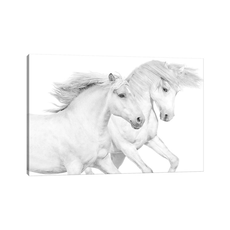 Duo II 1 Piece Wrapped Canvas Painting, 20.32 cm H x 30.48 cm W