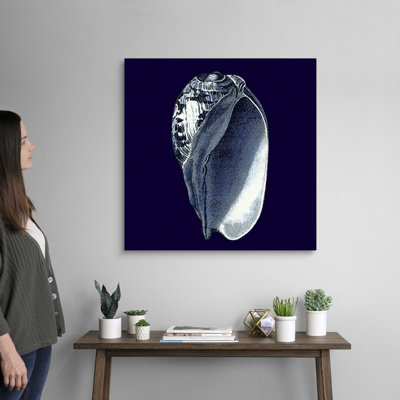 « Indigo shells V » par vision studio-impression