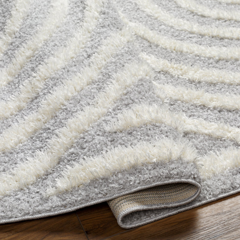 Bartletto Beige Shag Area Rug, Rectangle 5'3" x 7', White/Light Slate