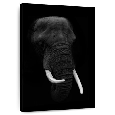 Midnight Elephant