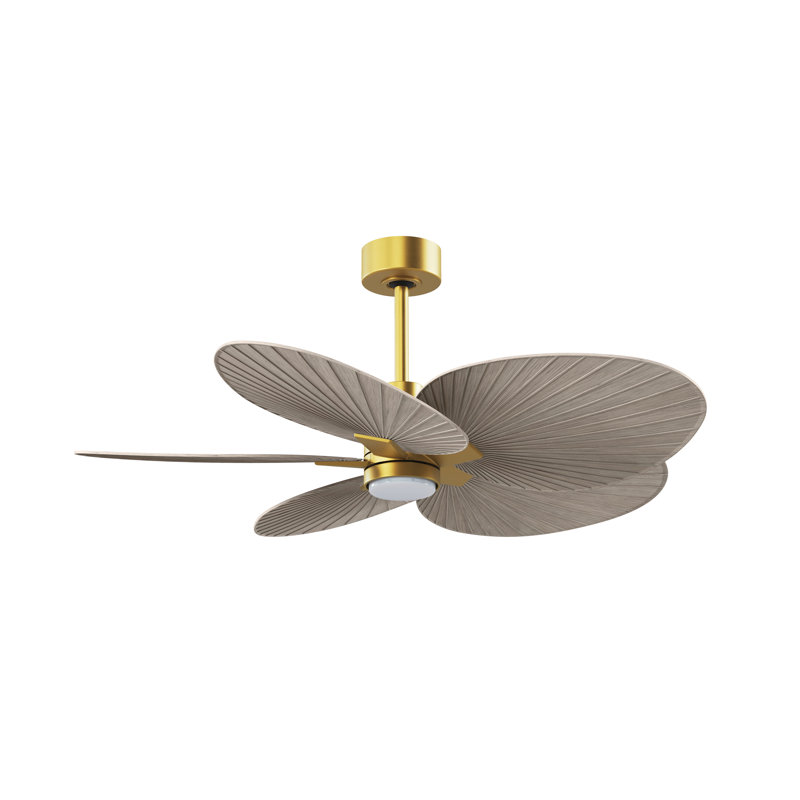 Alessandra - Ventilateur de plafond à cinq pales - DEL intégrée, Laiton brossé, Ton bois de frêne gris