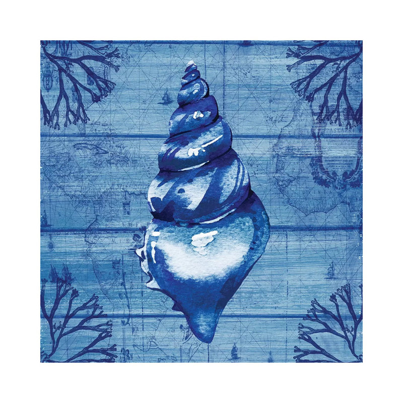 Indigo Conch - Print on Canvas, Wrapped Canvas, 93.98cm H x 93.98cm W x 3.81cm D