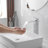 1 Mounting / Installation Required Single-handle Bathroom Faucet with Drain Assembly-101486186
