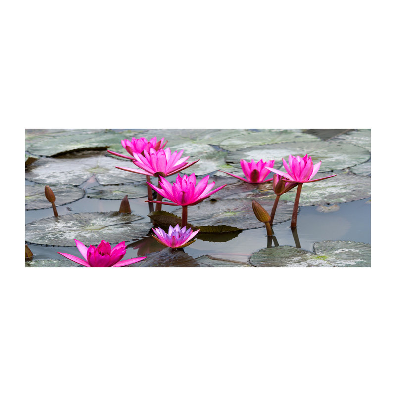 Lotus Flower - Wrapped Canvas Print