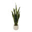 17.5cm Plant-534778520