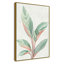 Gingembre II - reproduction d'art-55542019-55542020