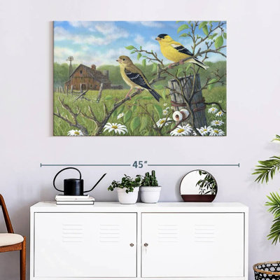 Pinsons dorés Brampt