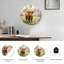 Horloge murale en verre Highland Cow-94376925
