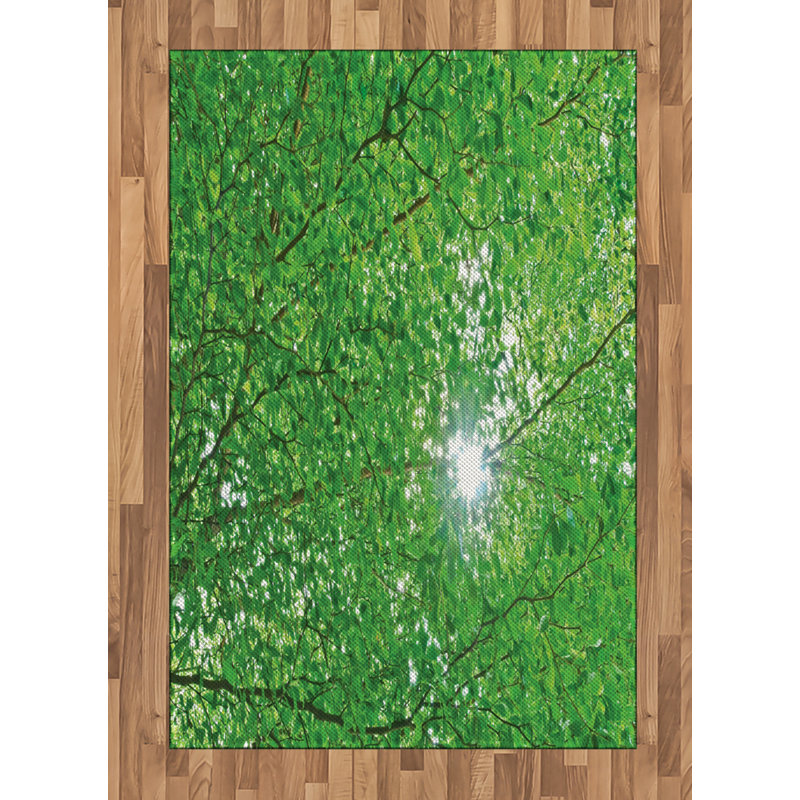 Nature High Density Long Fiber Poly Threads Decorative Area Rug Carpet, Rectangle 4' x 5'8"