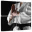 Sirate Karate Salute