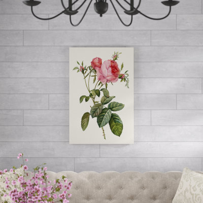 Redoute's Rose II by Pierre Redoute - Painting Print
