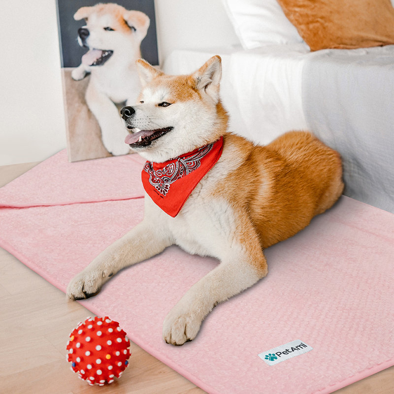 Polyester polaire PET-B8008WP, 60 po x 40 po, Rose