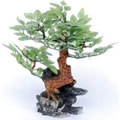  Aquarium Accessory