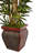 42'' Faux Bamboo Tree in Wood Planter
