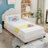 Alviso Upholstered Platform Bed-916381737