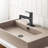 Single Handle Stainless Steel Bathroom Sink Faucet with Pull-Out Sprayer-111170884