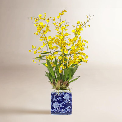 Arrangement in Vase