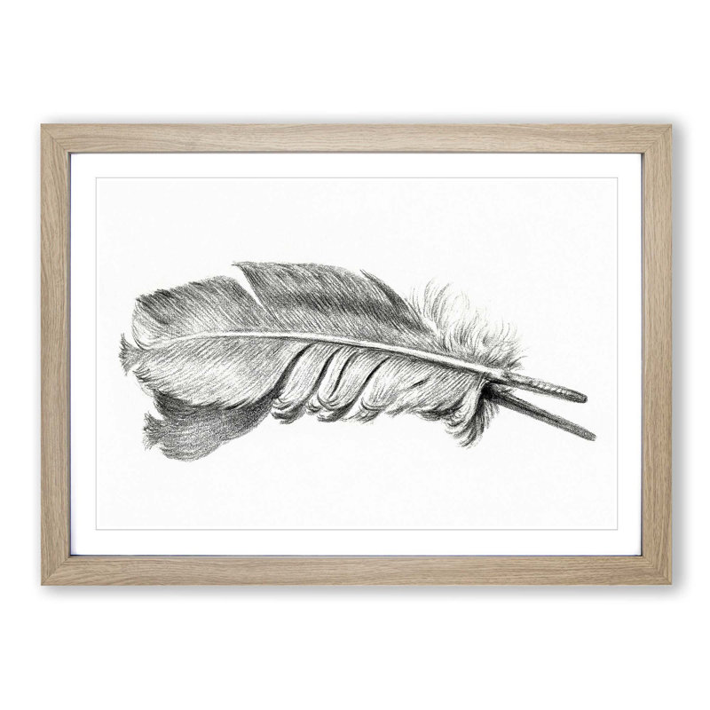 Feather by Jean Bernard - Picture Frame Drawing Print, 36cm H x 48cm W x 2cm D, Oak Framed