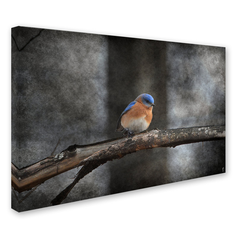 «Last Day Home Bluebird» de Vidur, impression sur toile tendue, H 12 po x l 19 po