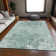Premium Machine Washable Prisco Sage Rug