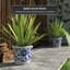 Pot de fleurs en céramique Lewistown-1176992263