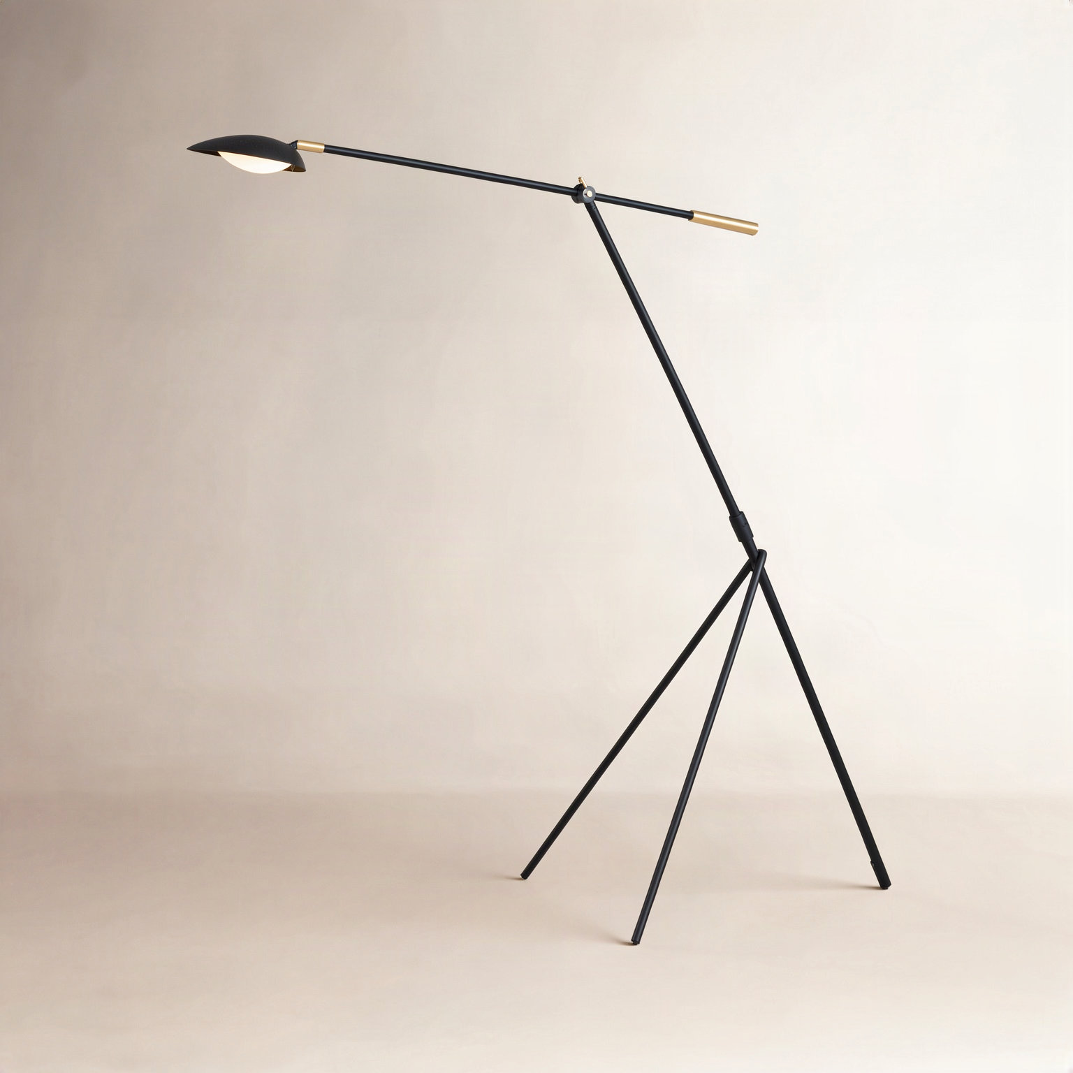 Cillian 60.5'' Dimmable LED Floor Lamp