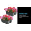 Lliwen Plastic Railing Planter-1897313121-1938908947
