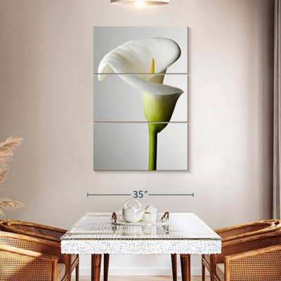 Harnek Fresh Calla Lily