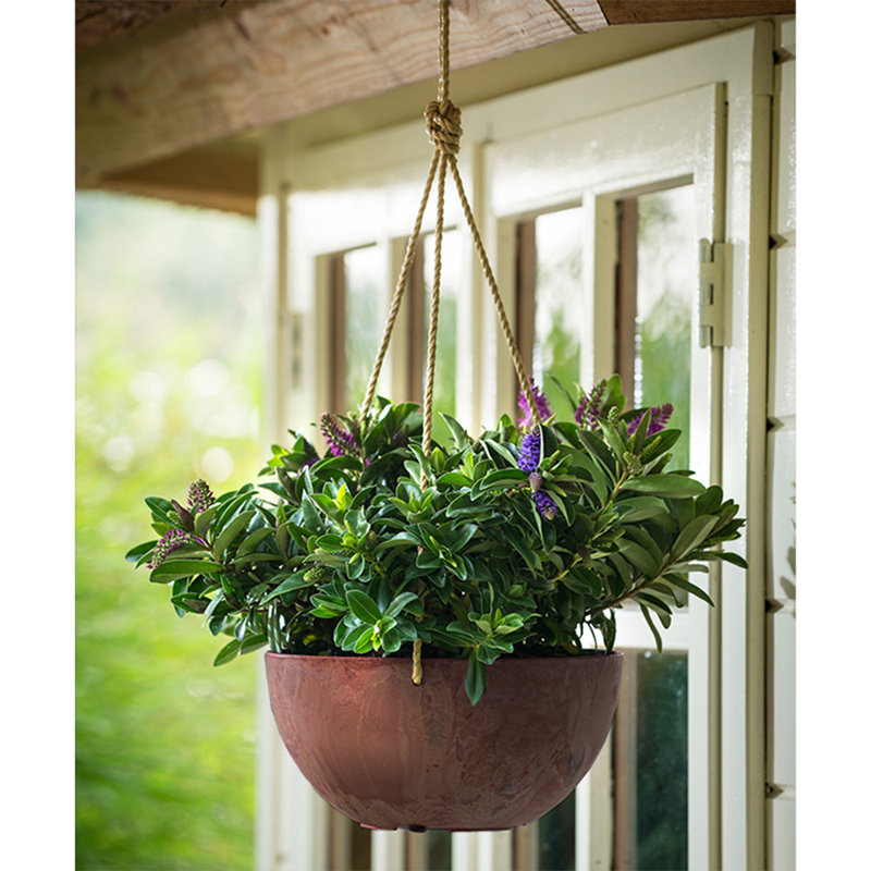 Pot à fleurs suspendu en résine Pollyanna, Rouille, H 5,75 po x l 12 po x P 12 po