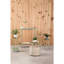 Bibbins Plant Stand
