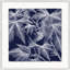 Transitional Leaf Composition On Navy 3 Print