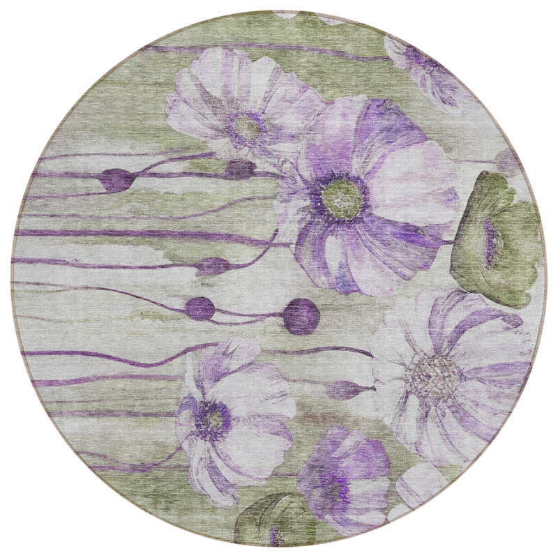  Emblyn Area Rug, Round 8'