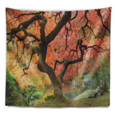 Photographie de paysage autumn maple tree tapisserie