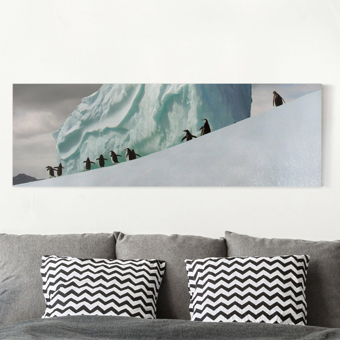 Leinwandbild Arktische Pinguine