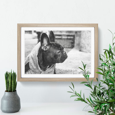 French Bulldog Vol.2 - Picture Frame Graphic Art