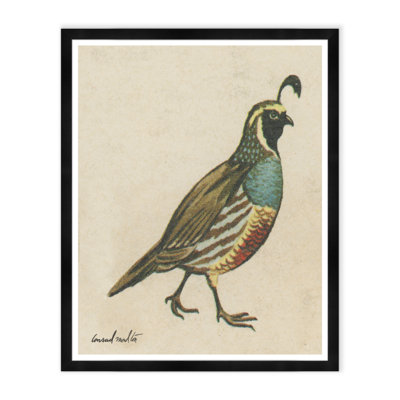 Quail Print