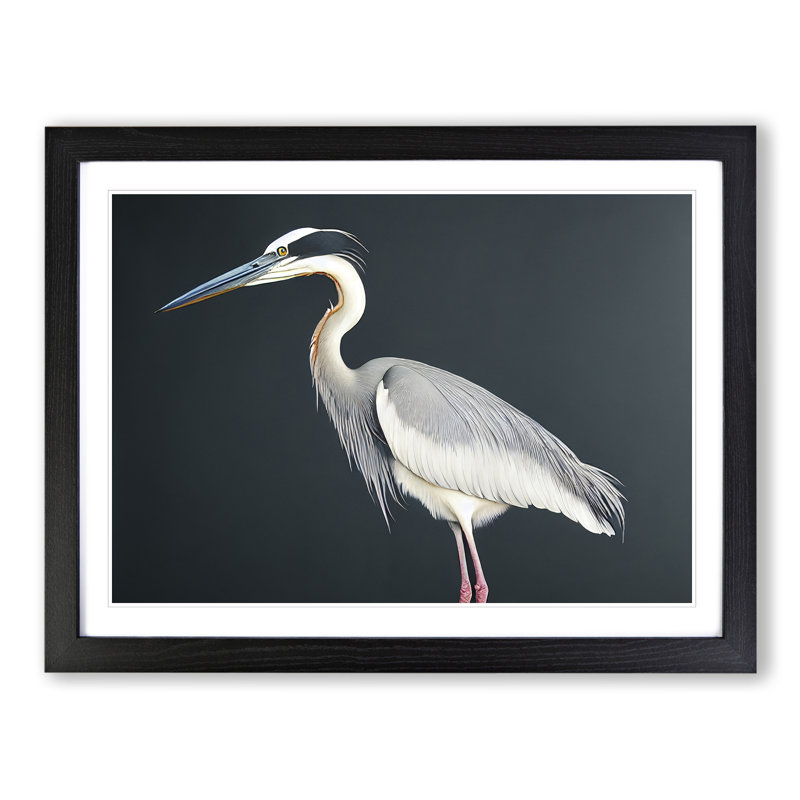 Awesome Heron Bird - Framed Print, Black, 46cm H x 64cm W x 2cm D