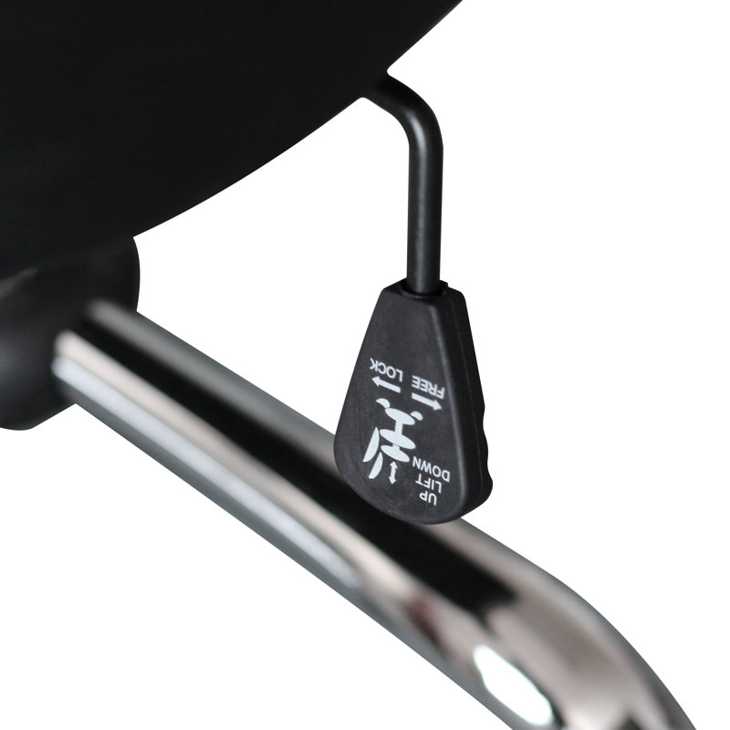 Danuj Task Chair, Black
