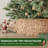 Rattan Tree Collar-119352994